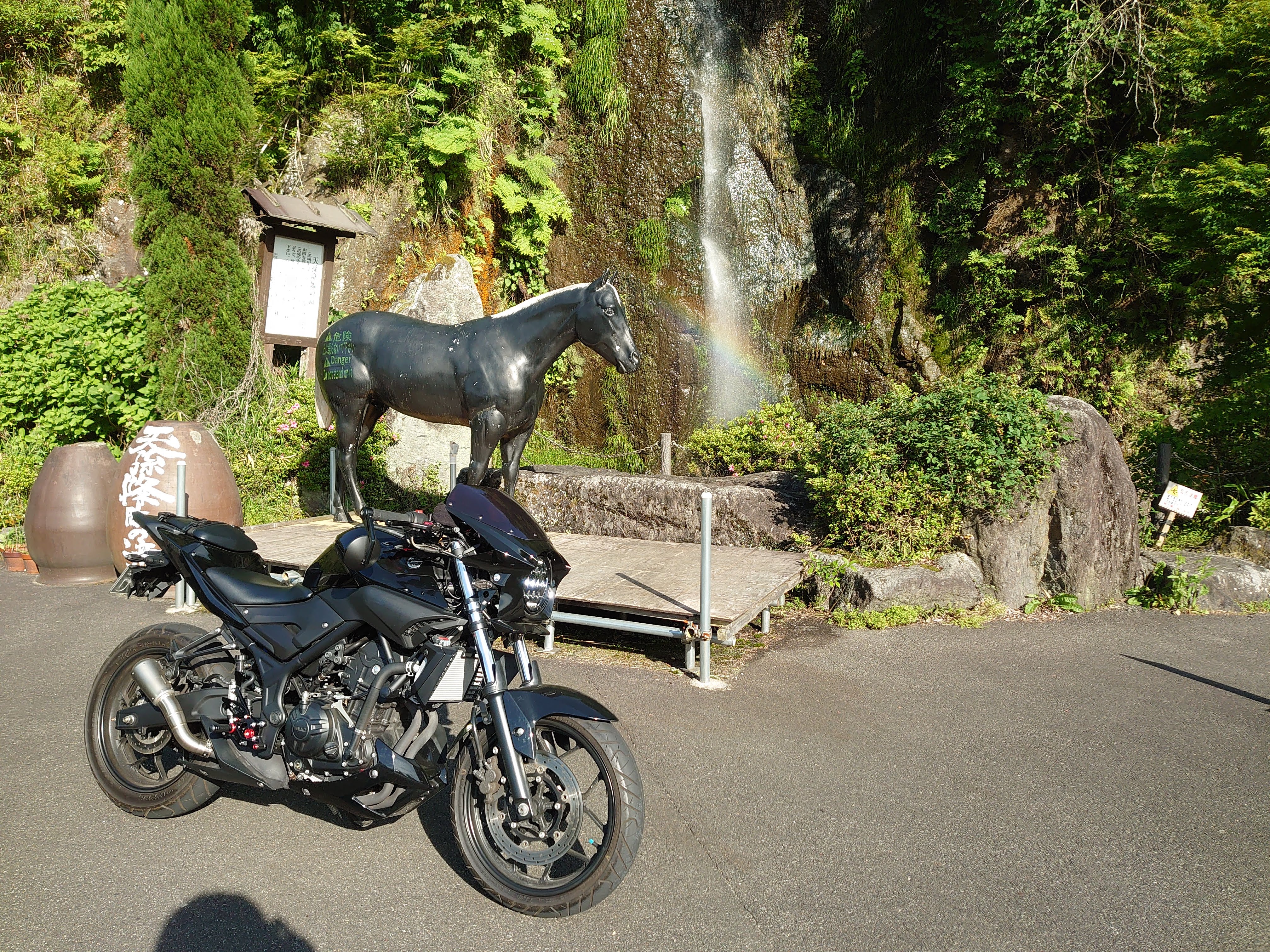 DSC_0195-てり.jpg
